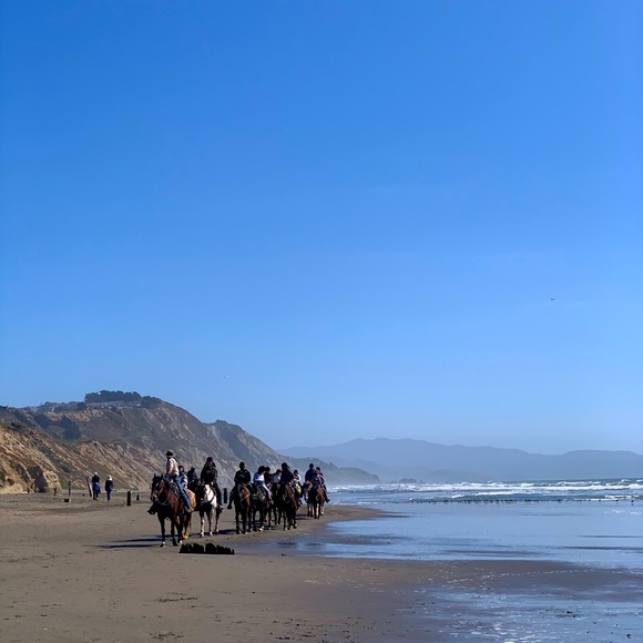 Meet your Posher, Sophia - Picture 1 of 1